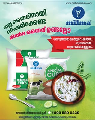 Milma Curd: advertisement ads by D Ads