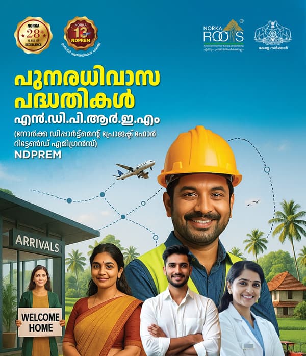 NORKA Roots: social media ads by D Ads